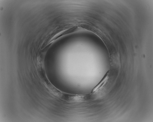 X0000071960184200607141444