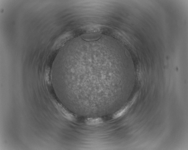 X0000071960185200607141444