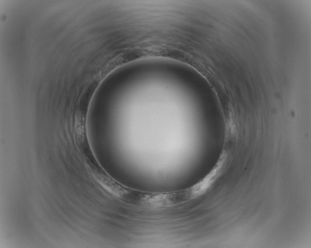 X0000071960186200607141444