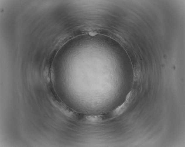 X0000071960187200607141444