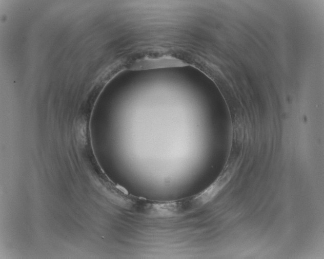 X0000071960188200607141444