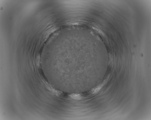 X0000071960189200607141444