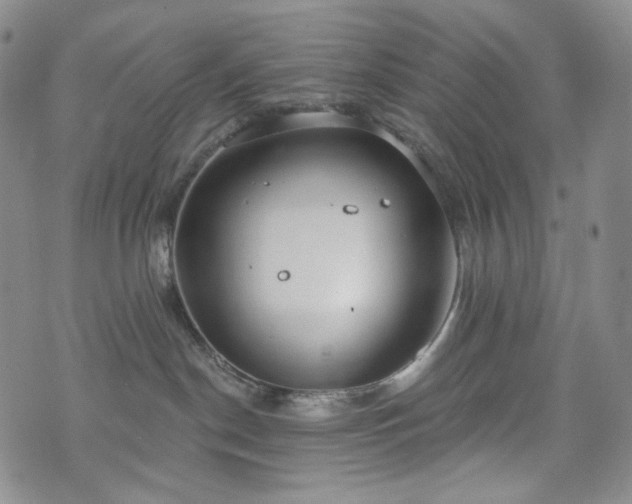 X0000071960190200607141444