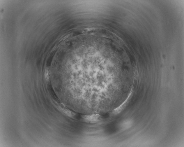 X0000071960191200607141444