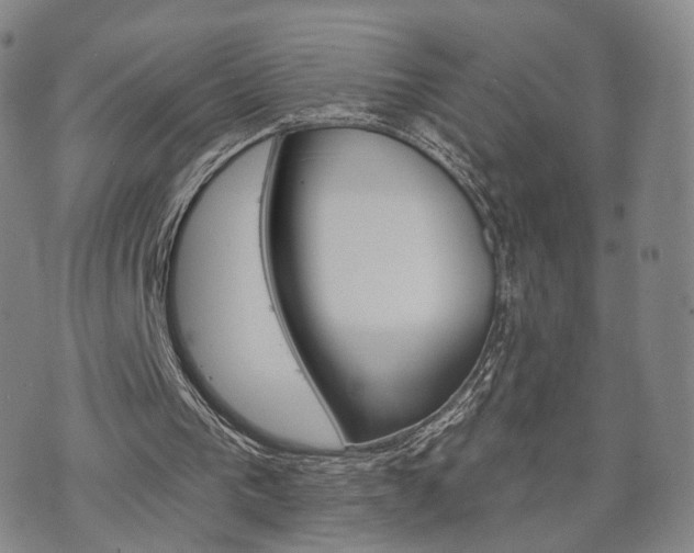 X0000071960193200607141443