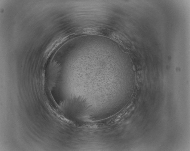 X0000071960194200607141443