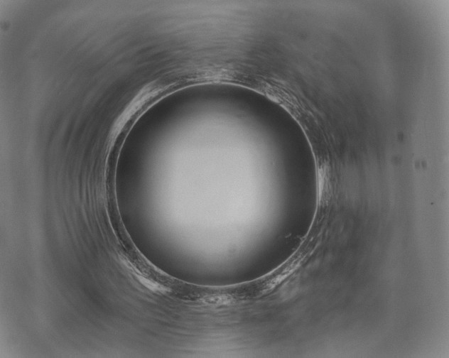 X0000071960195200607141443