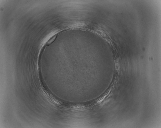 X0000071960196200607141443