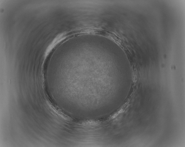 X0000071960198200607141443