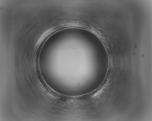 X0000071960199200607141443