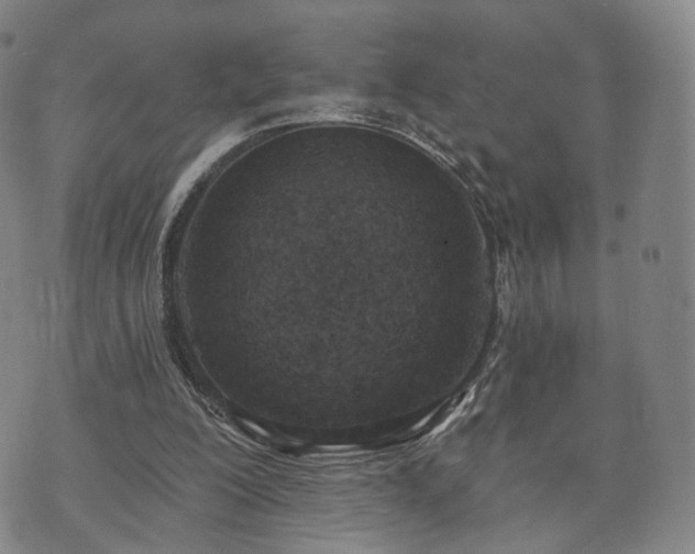 X0000071960200200607141443