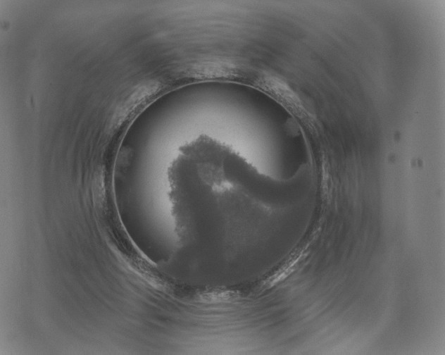 X0000071960202200607141443