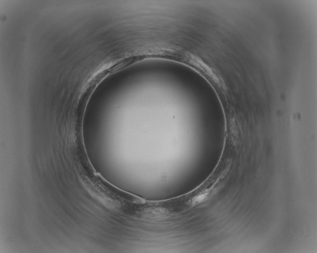 X0000071960203200607141443