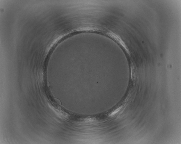 X0000071960204200607141443