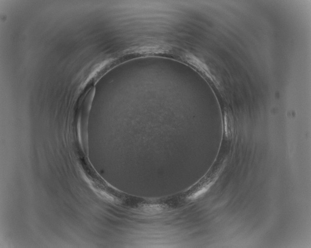 X0000071960205200607141443