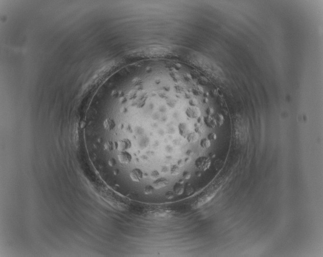 X0000071960206200607141443