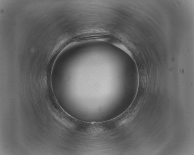 X0000071960207200607141443