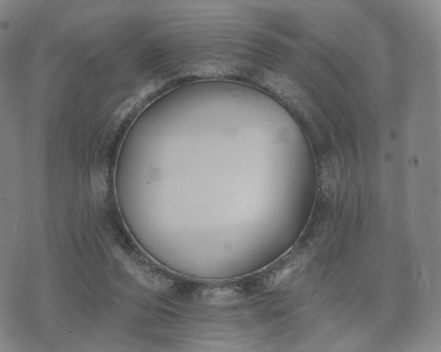 X0000071960208200607141443