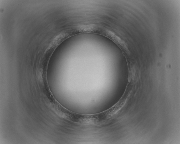 X0000071960209200607141443