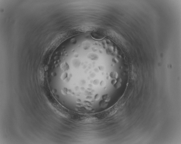 X0000071960210200607141443