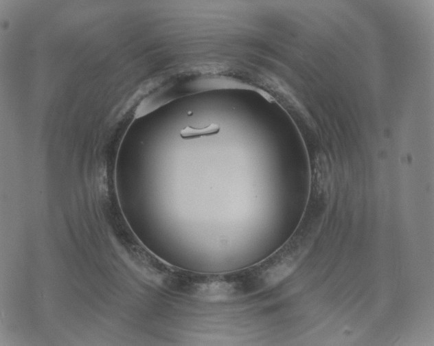 X0000071960212200607141443