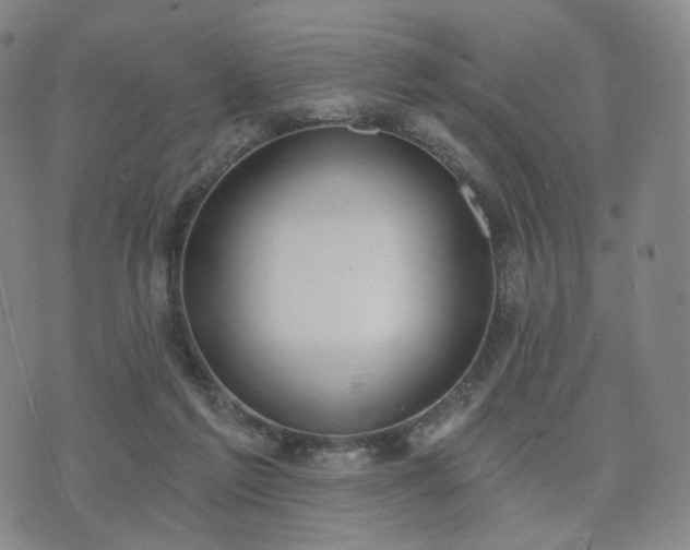 X0000071960213200607141443