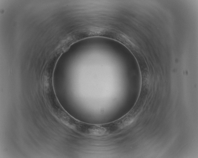 X0000071960215200607141442