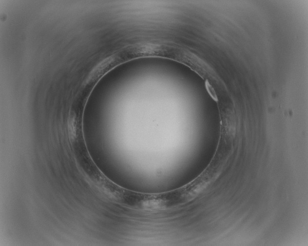 X0000071960216200607141442