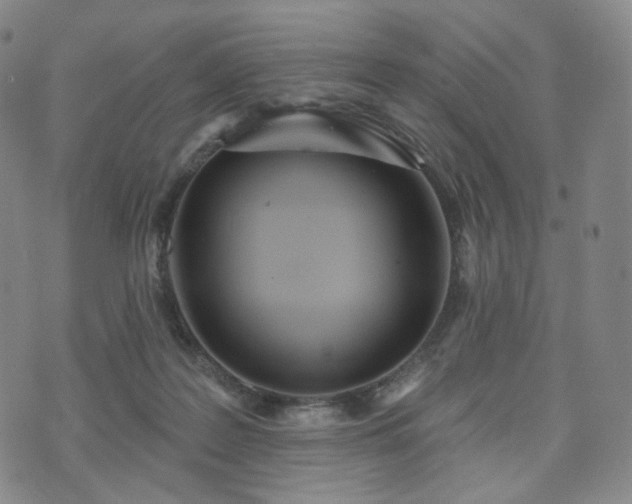 X0000071960219200607141442