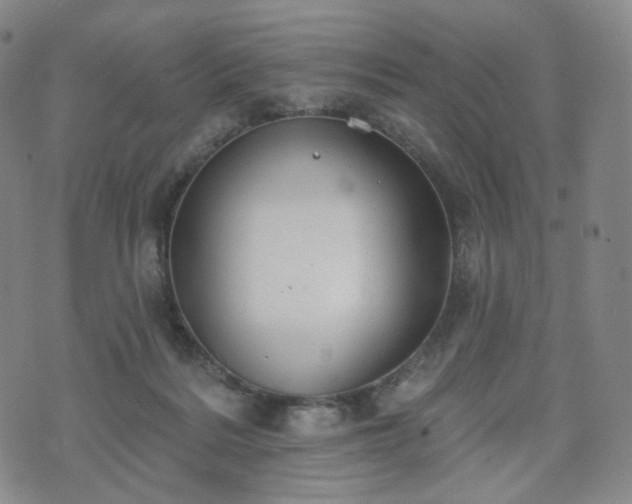 X0000071960220200607141442