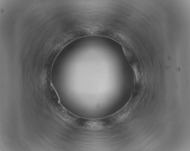 X0000071960221200607141442