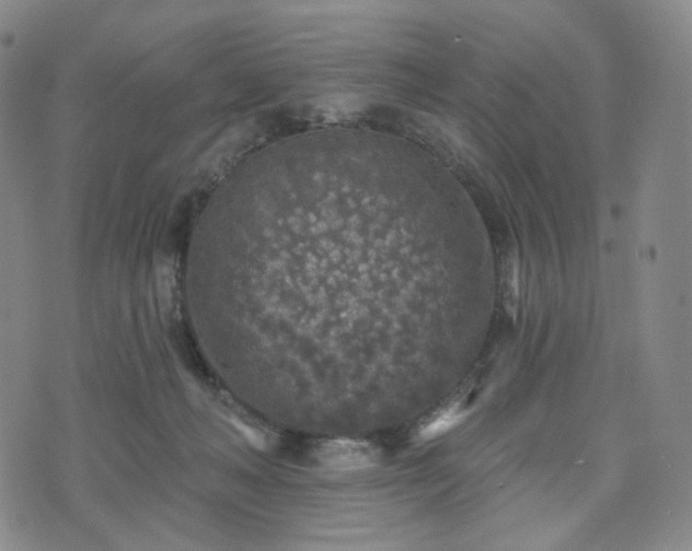 X0000071960222200607141442