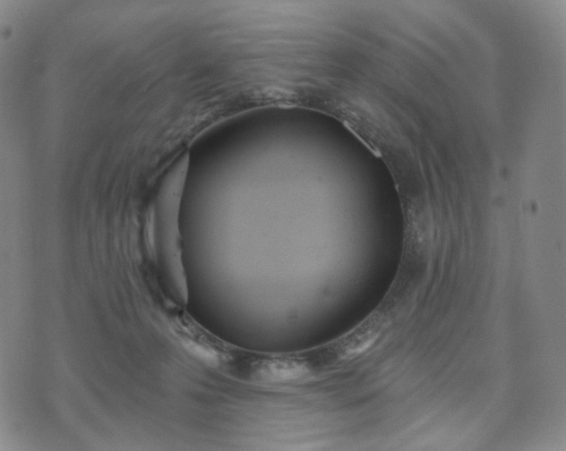 X0000071960223200607141442