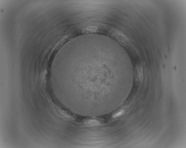 X0000071960224200607141442