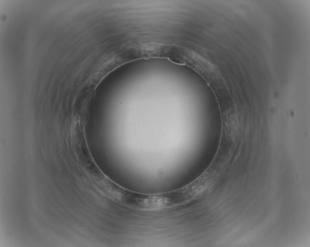 X0000071960225200607141442