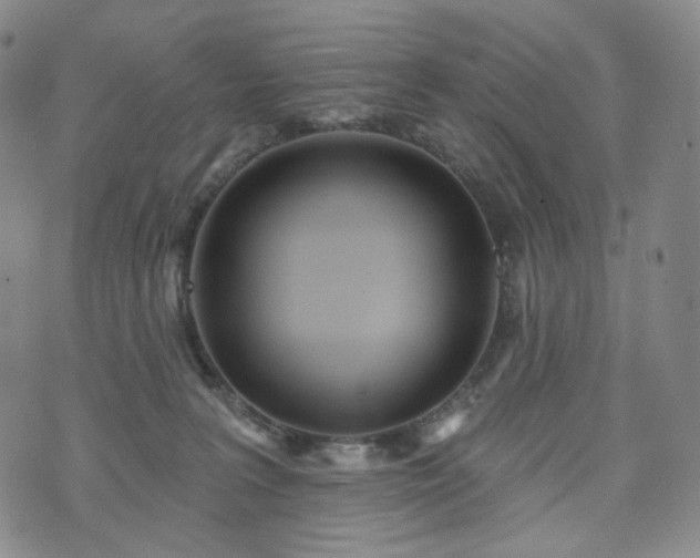 X0000071960227200607141442