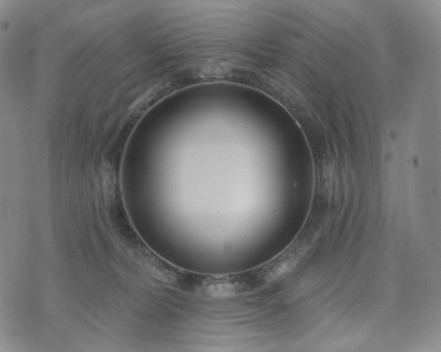 X0000071960228200607141442