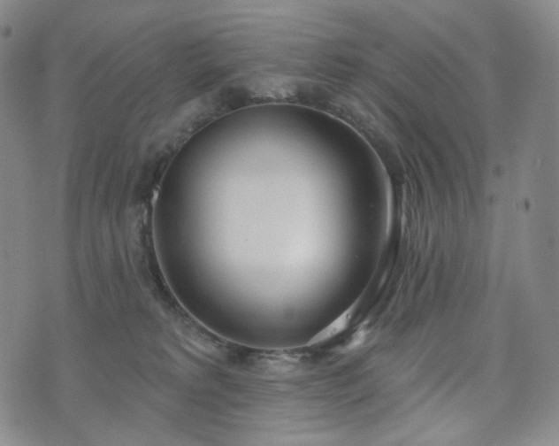 X0000071960229200607141442