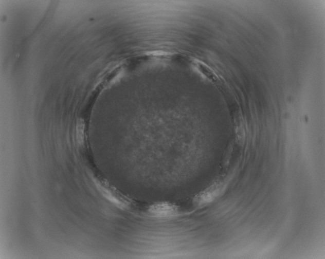 X0000071960231200607141442