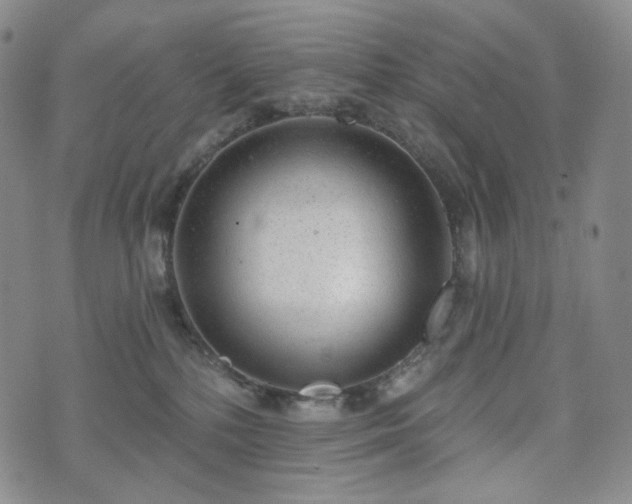 X0000071960232200607141442