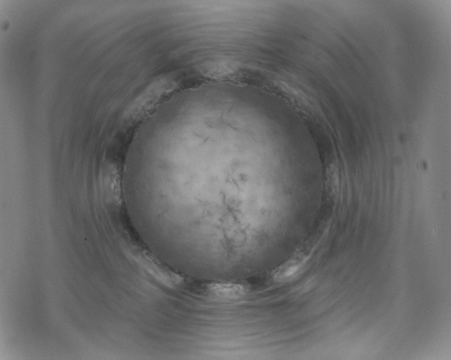 X0000071960234200607141442