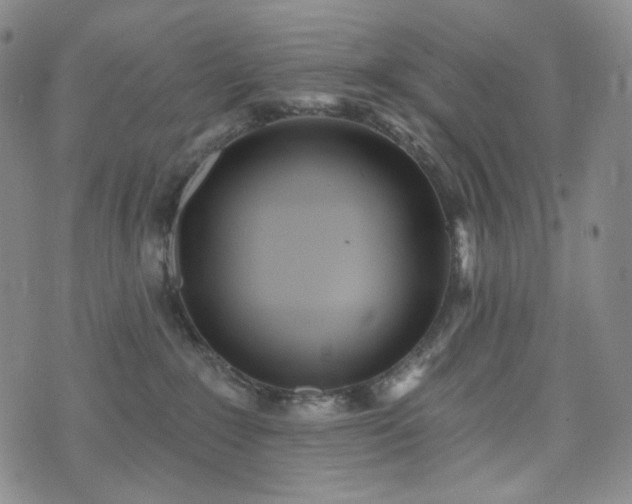 X0000071960235200607141442