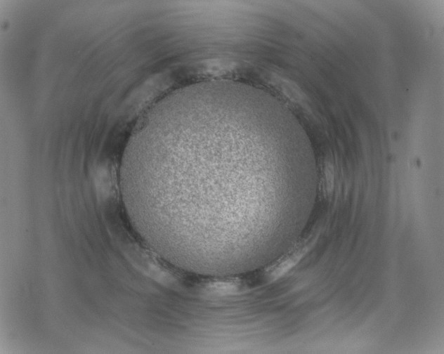 X0000071960236200607141442