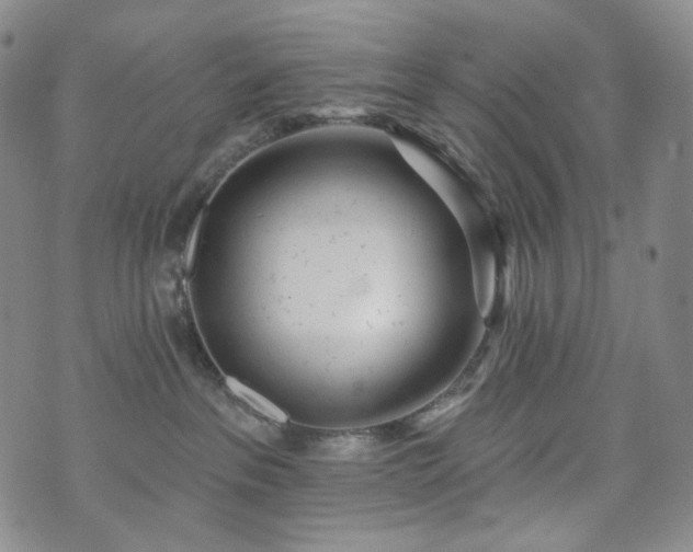 X0000071960237200607141442