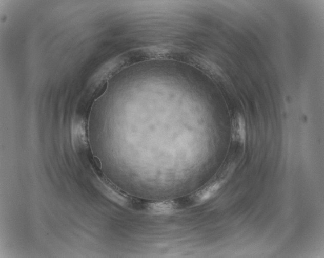 X0000071960238200607141442