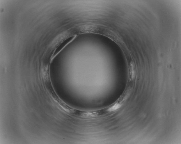 X0000071960239200607141442