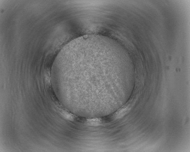 X0000071960240200607141442