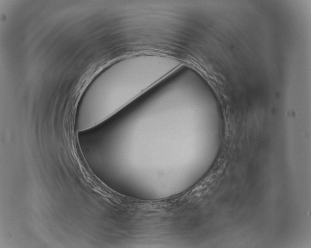 X0000071960241200607141441