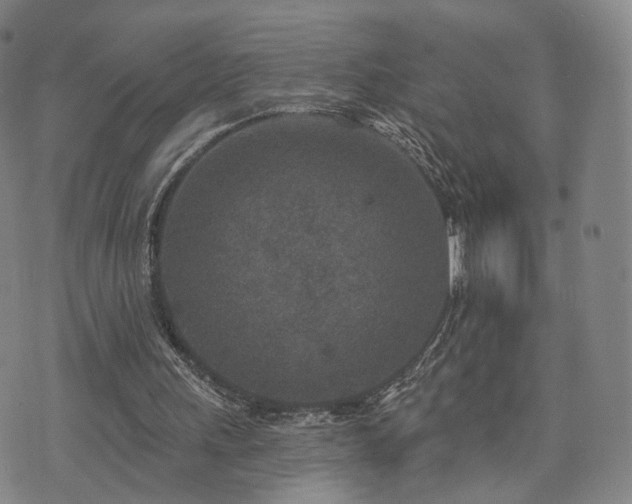 X0000071960243200607141441