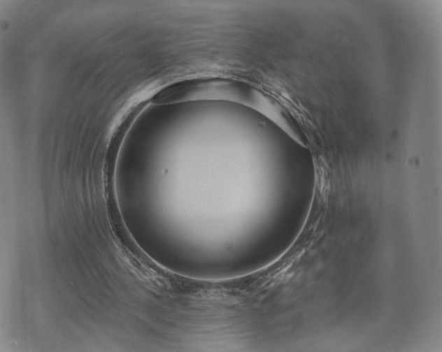 X0000071960244200607141441